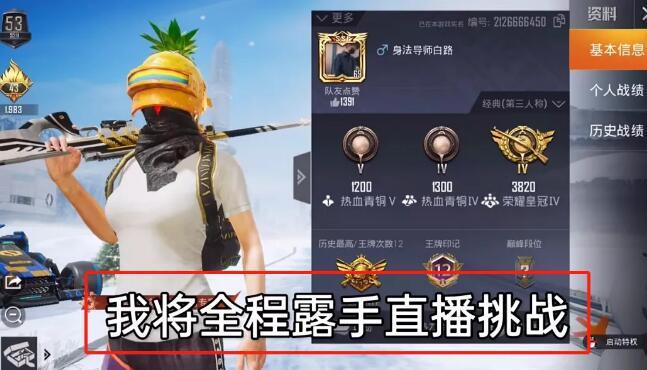 和平【涂山红红】辅助轻便直装工具,重现丝滑畅快体验